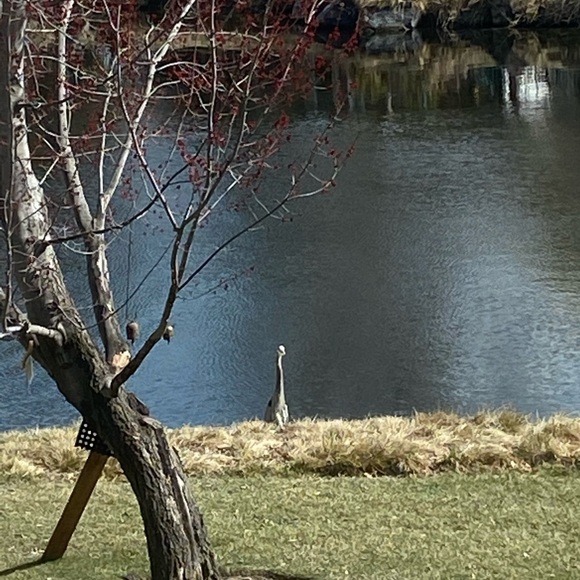 Meet your Posher, Judite - Picture 12 of 16